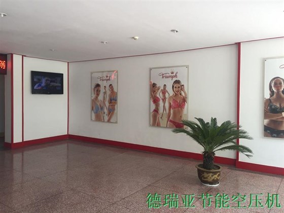 德國黛安芬內(nèi)部