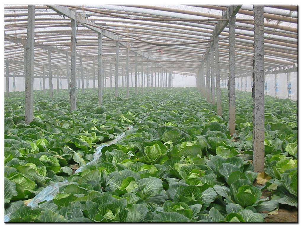 德瑞亞空壓機(jī)助力食品加工，節(jié)能無止盡